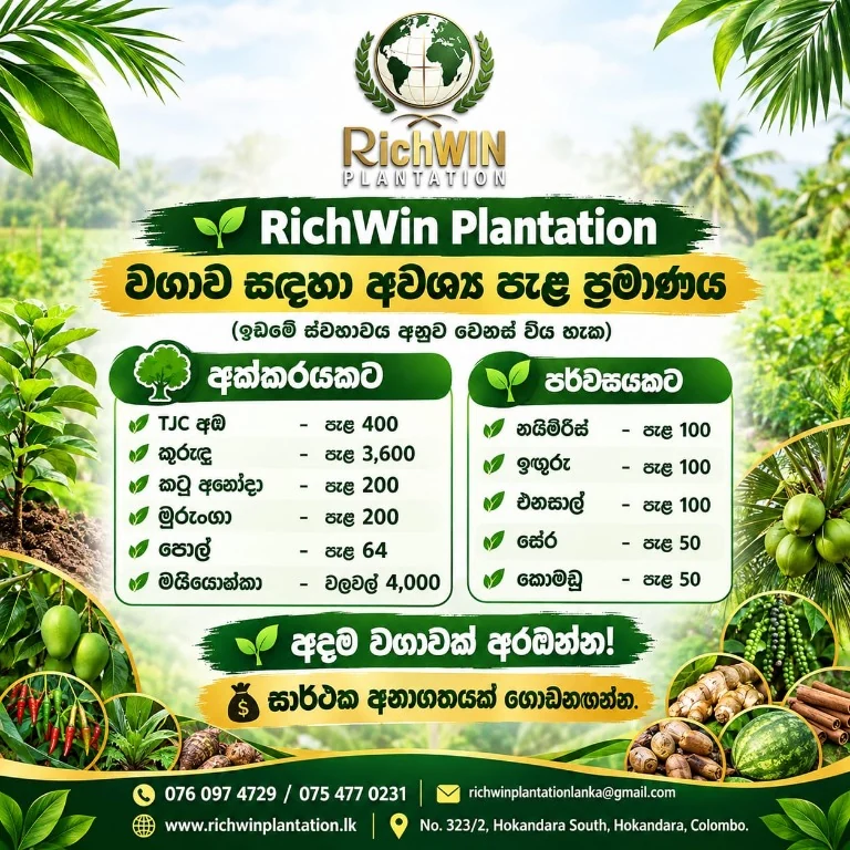 RichWIN Plantation promotional artwork showcasing crop categories and contact details